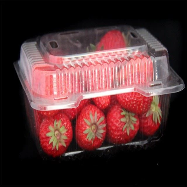 High Quality Thermoforming Pet Sheet Clear Pet Film For Blister Packing